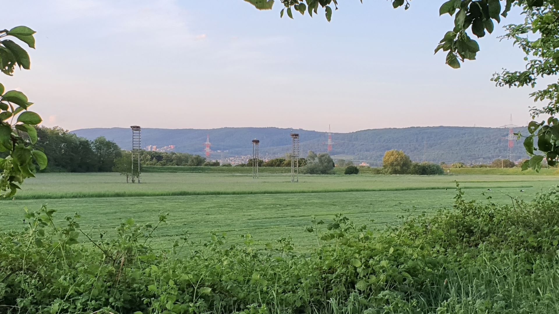 Langfassung unserer Ideen zur Umwelt- und Klimaschutz