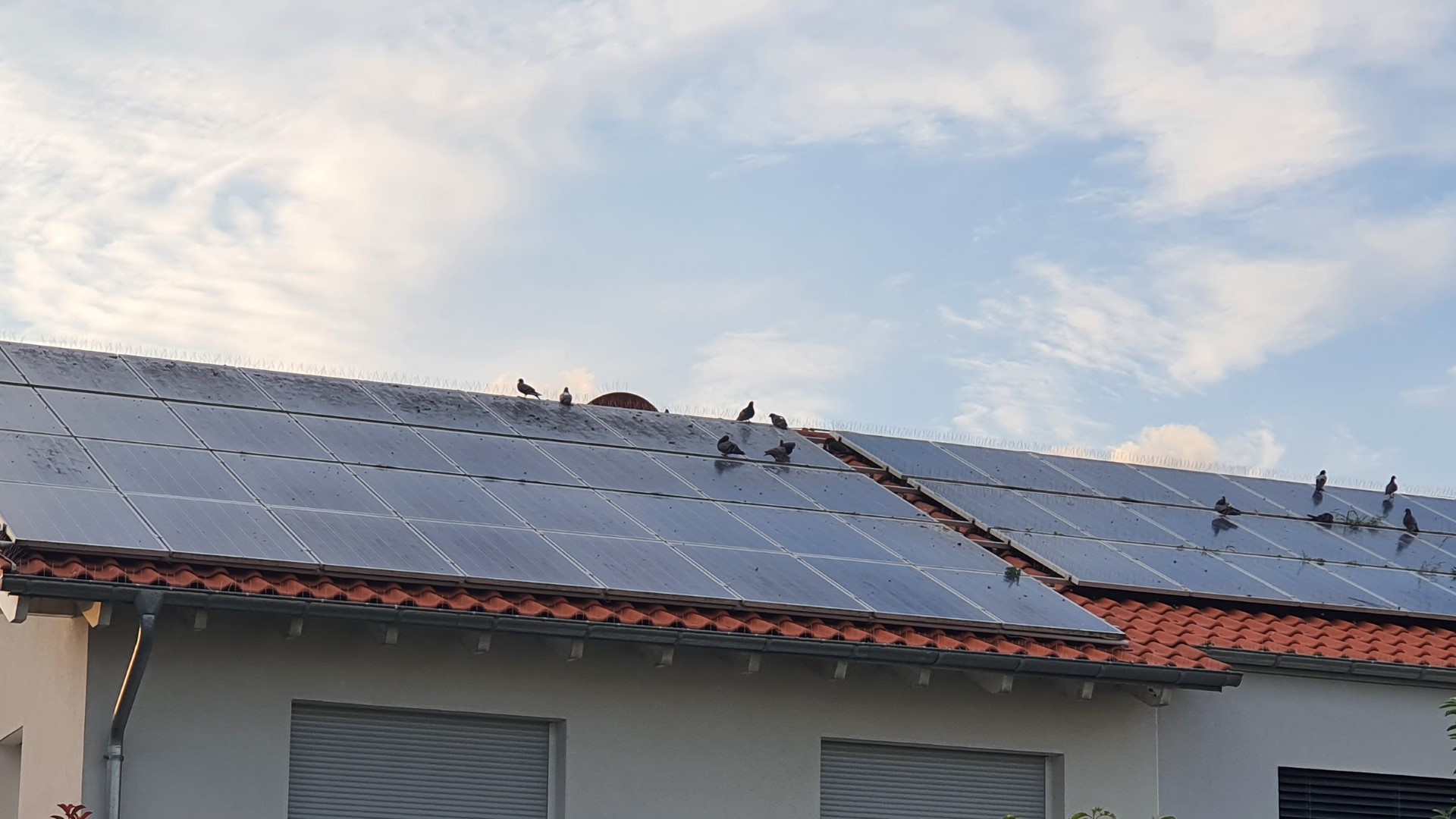 Photovoltaik-Anlage auf Dach in Walldorf-Süd | Foto: Dr. Clemens Kriesel